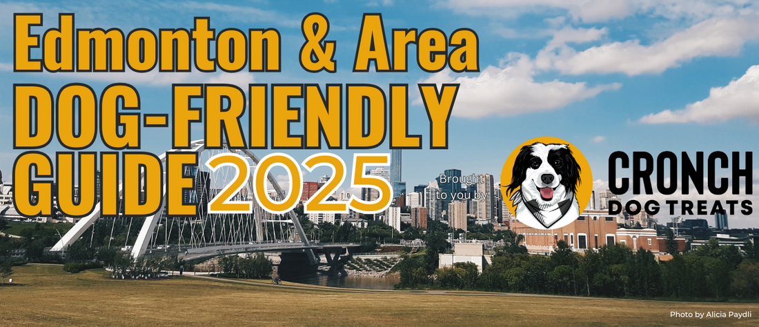 Dog Friendly Edmonton & Area Guide 2025