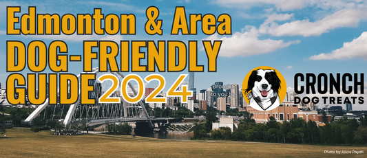 A photo of a sunny Edmonton Skyline, and text that reads: Edmonton and Area Dog Friendly Guide 2023