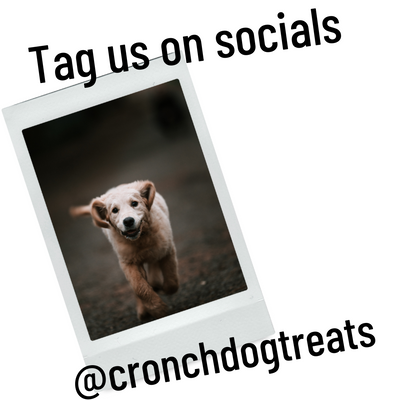 text that reads tag us on socials @cronchdogtreats and a photo of a golden retriever puppy running toward the camera