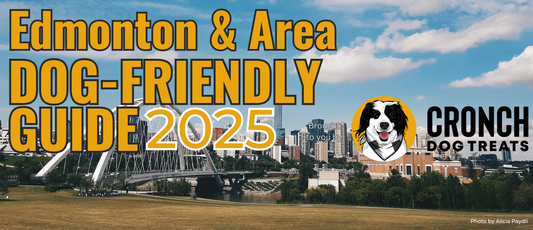 Dog Friendly Edmonton & Area Guide 2025